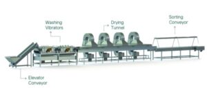 Dates Washing and Drying Line – Industrial Date Cleaning Machine